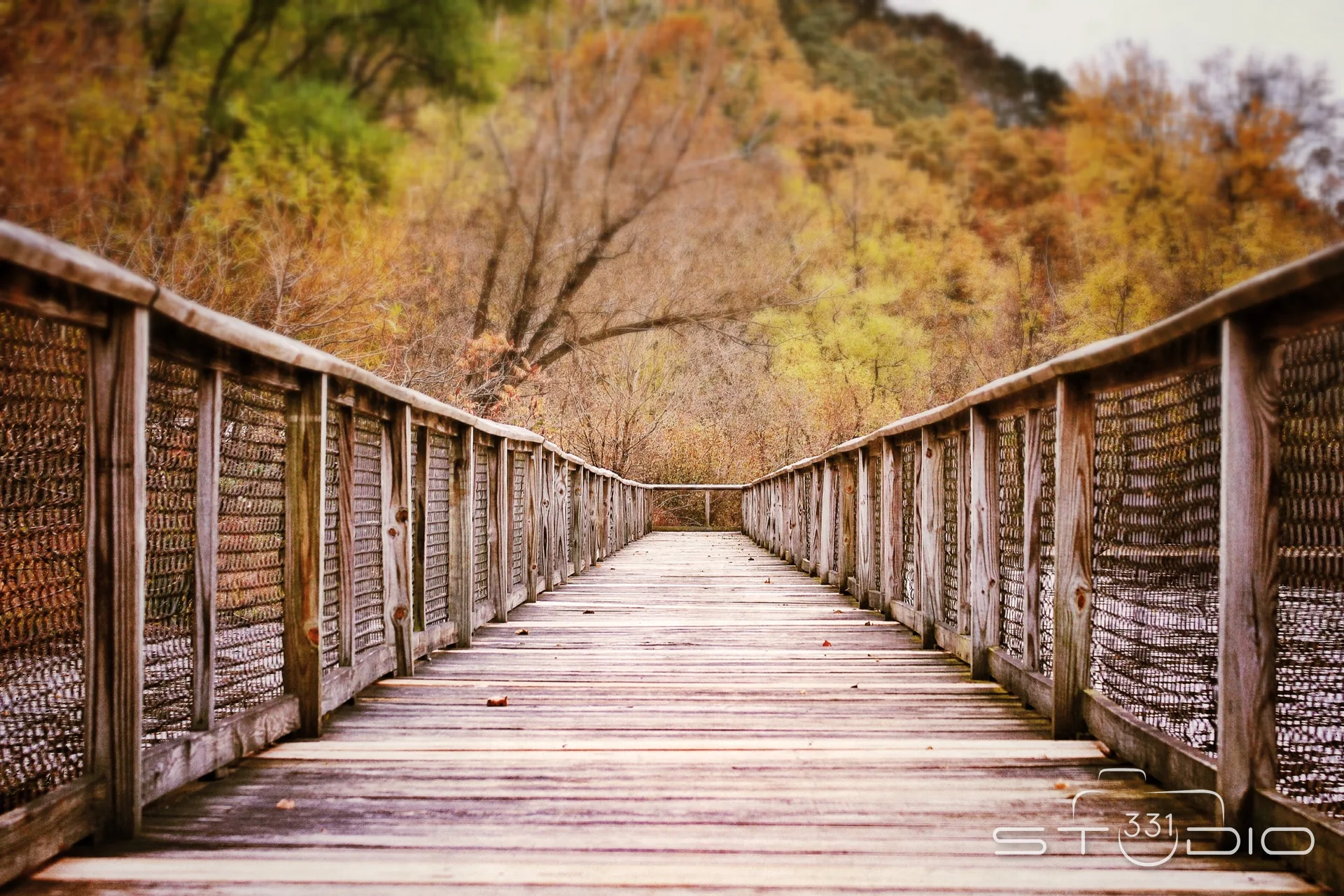 A boardwalk crossing an autumn landscape